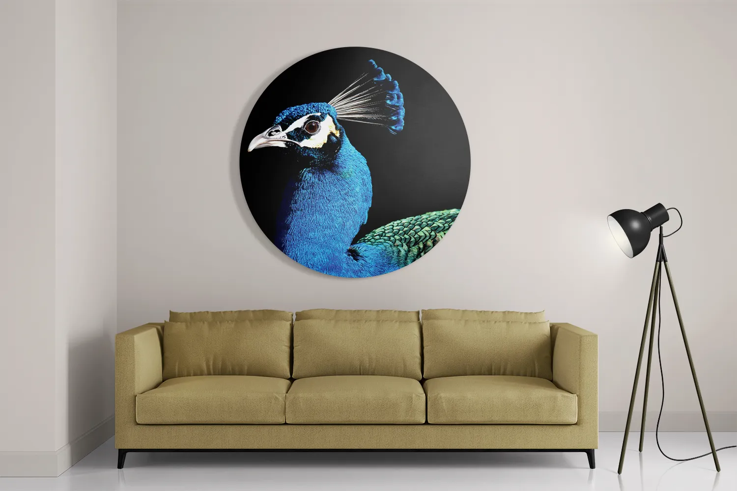 Schilderij De Pauw Rond – Muurcirkel Template TP DB Rond Dieren 48 2