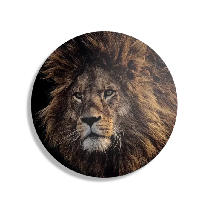 Schilderij The Lion Rond – Muurcirkel Template TP DB Rond Dieren 5 1