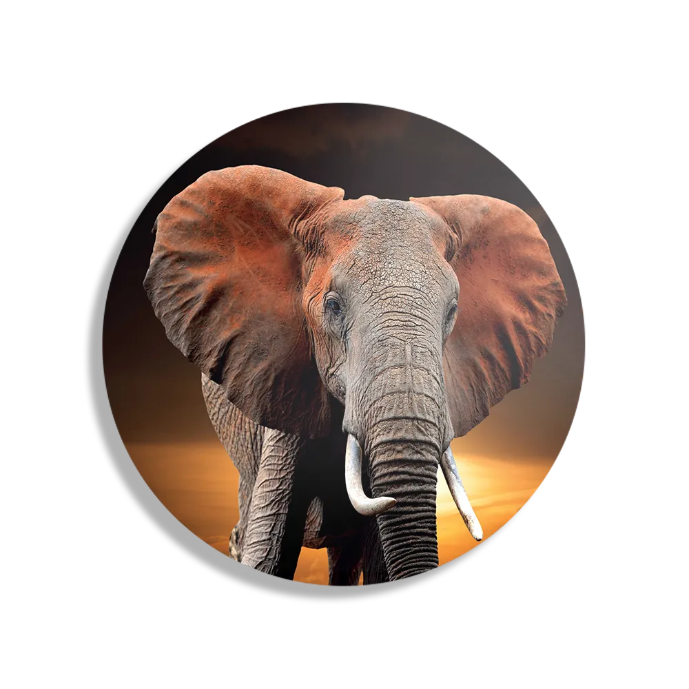 Schilderij Olifant met Zonsondergang Rond – Muurcirkel Template TP DB Rond Dieren 53 1