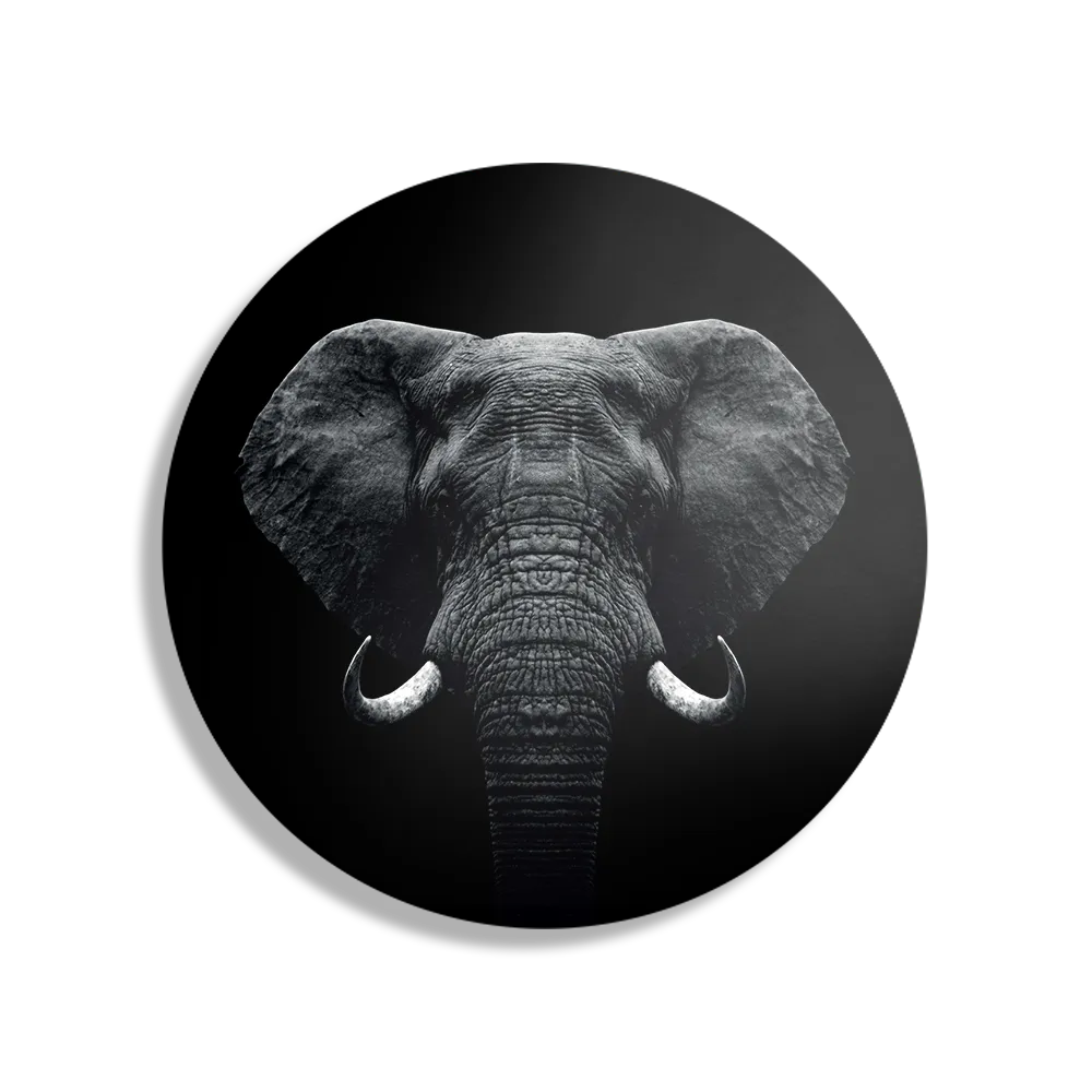 Schilderij Olifant Zwart Wit Rond – Muurcirkel Template TP DB Rond Dieren 56 1