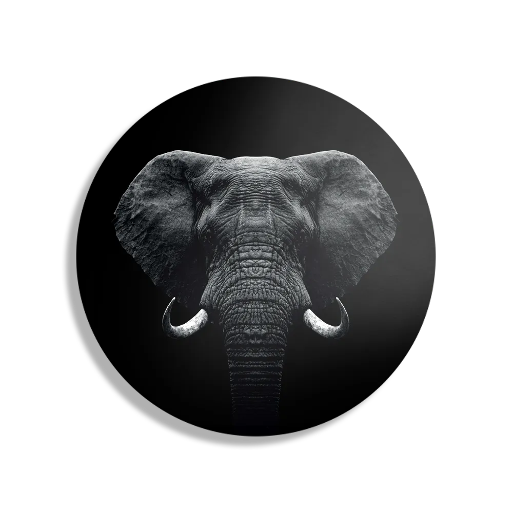 Schilderij Pandabeer Zwart Wit 01 Rond – Muurcirkel Template TP DB Rond Dieren 57 1