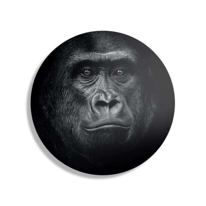 Schilderij De Gorilla Aap Rond – Muurcirkel Template TP DB Rond Dieren 61 1