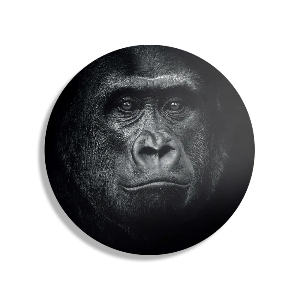 Schilderij De Gorilla Aap Rond – Muurcirkel Template TP DB Rond Dieren 61 1