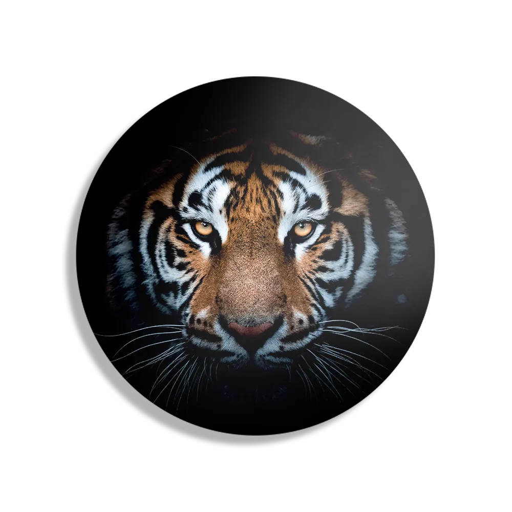 Schilderij De Gevaarlijke Tijger Rond – Muurcirkel Template TP DB Rond Dieren 62 1