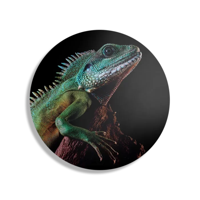Schilderij De Groene Kameleon Rond – Muurcirkel Template TP DB Rond Dieren 73 1