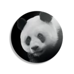 Schilderij Pandabeer Zwart Wit 02 Rond – Muurcirkel Template TP DB Rond Dieren 74 1