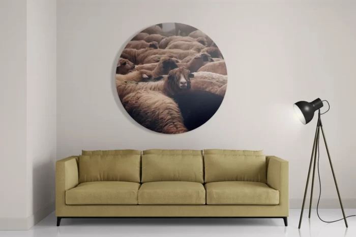 Schilderij Kudde Schapen Rond – Muurcirkel Template TP DB Rond Dieren 8 2