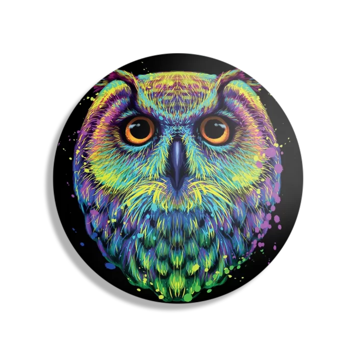 Schilderij Colored Owl 01 Rond – Muurcirkel Template TP DB Rond Dieren 82 1