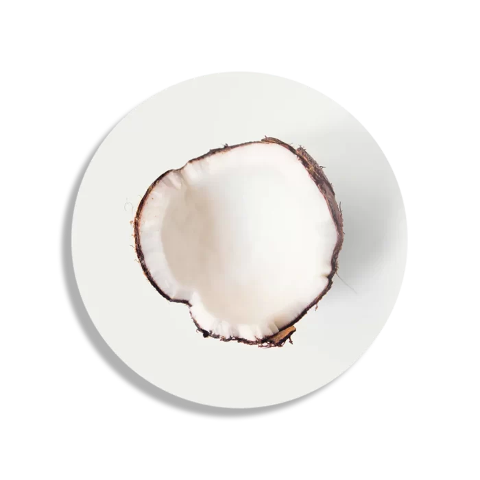 Schilderij Coconut Rond – Muurcirkel Template TP DB Rond Eten En Drinken 3 1