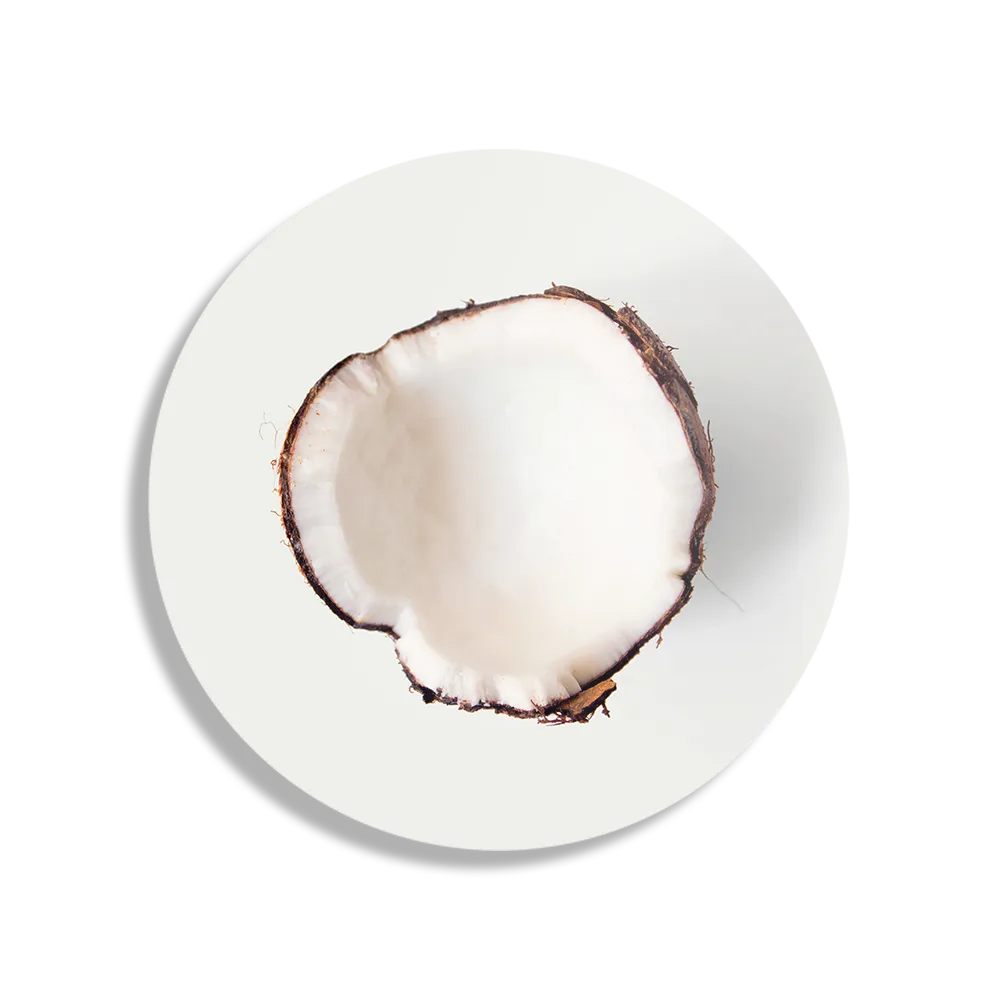 Schilderij Coconut Rond – Muurcirkel Template TP DB Rond Eten En Drinken 3 1