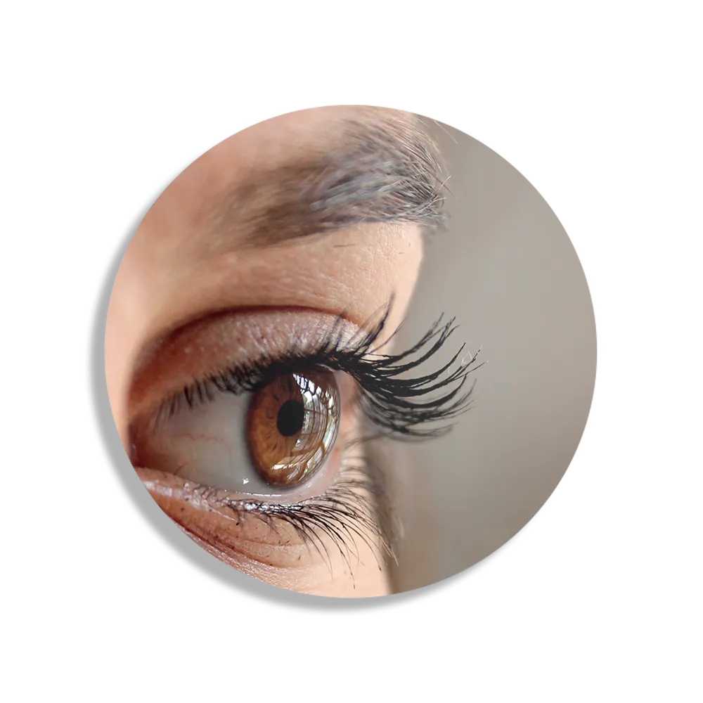 Schilderij Het Bruine Oog Rond – Muurcirkel Template TP DB Rond Mensen 19 1