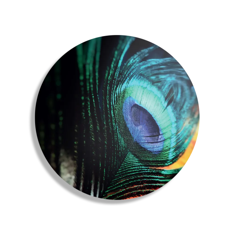 Schilderij Een veer van de Pauw Rond – Muurcirkel Template TP DB Rond Natuur 11 1