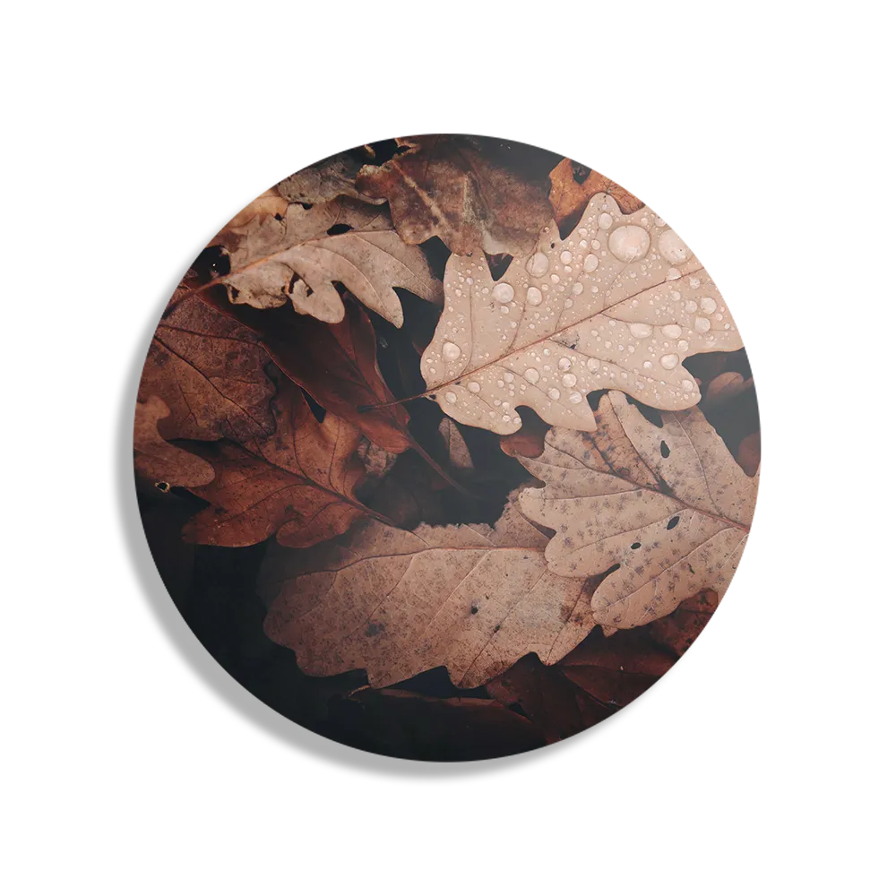Schilderij Herfstweer Rond – Muurcirkel Template TP DB Rond Natuur 13 1