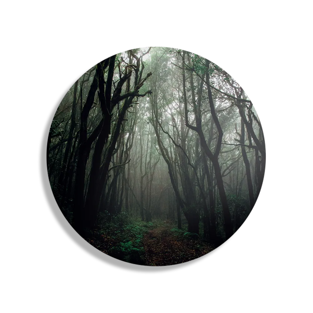 Template_TP_DB_Rond_Natuur_17-1 Schilderij Het Donkere Bos 2 Rond – Muurcirkel Template TP DB Rond Natuur 17 1