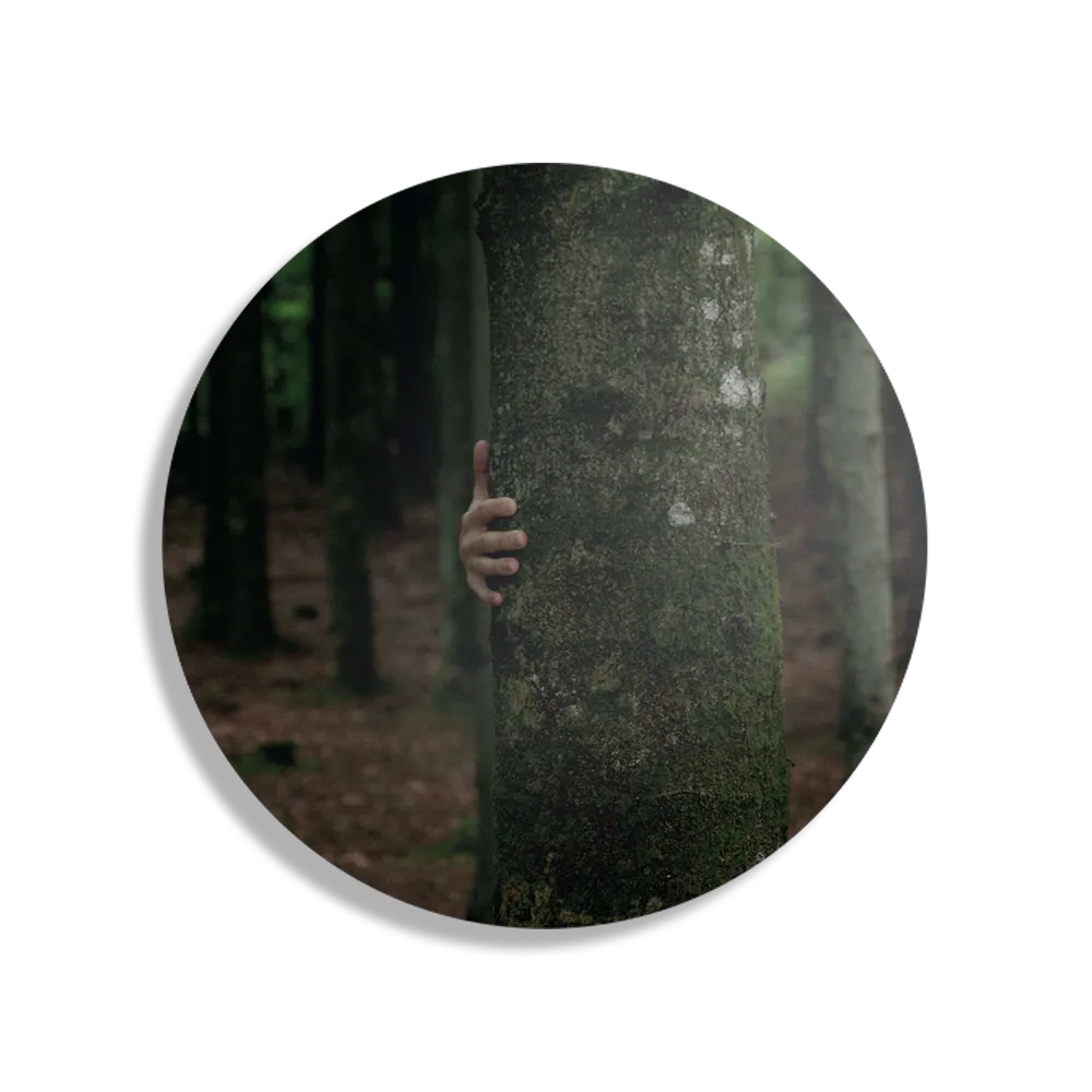 Schilderij Natuurlijke spellen Rond – Muurcirkel Template TP DB Rond Natuur 20 1