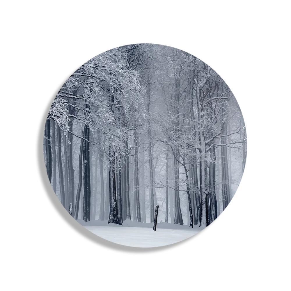 Template_TP_DB_Rond_Natuur_27-1 Schilderij Het winterse bos Rond – Muurcirkel Template TP DB Rond Natuur 27 1
