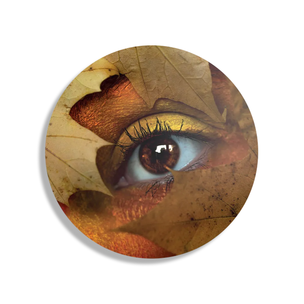 Schilderij Hefstblad Rond – Muurcirkel Template TP DB Rond Natuur 30 1