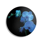Schilderij Orchidee Rond – Muurcirkel Template TP DB Rond Natuur 39 1