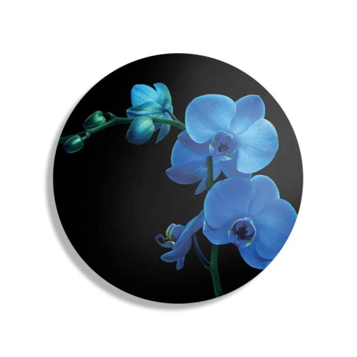 Schilderij Orchidee Rond – Muurcirkel Template TP DB Rond Natuur 39 1