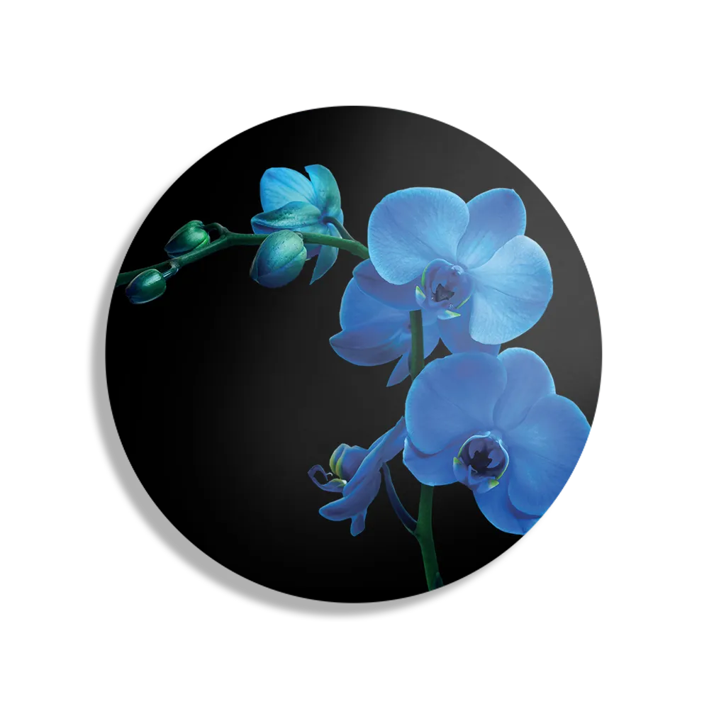 Schilderij Orchidee Rond – Muurcirkel Template TP DB Rond Natuur 39 1