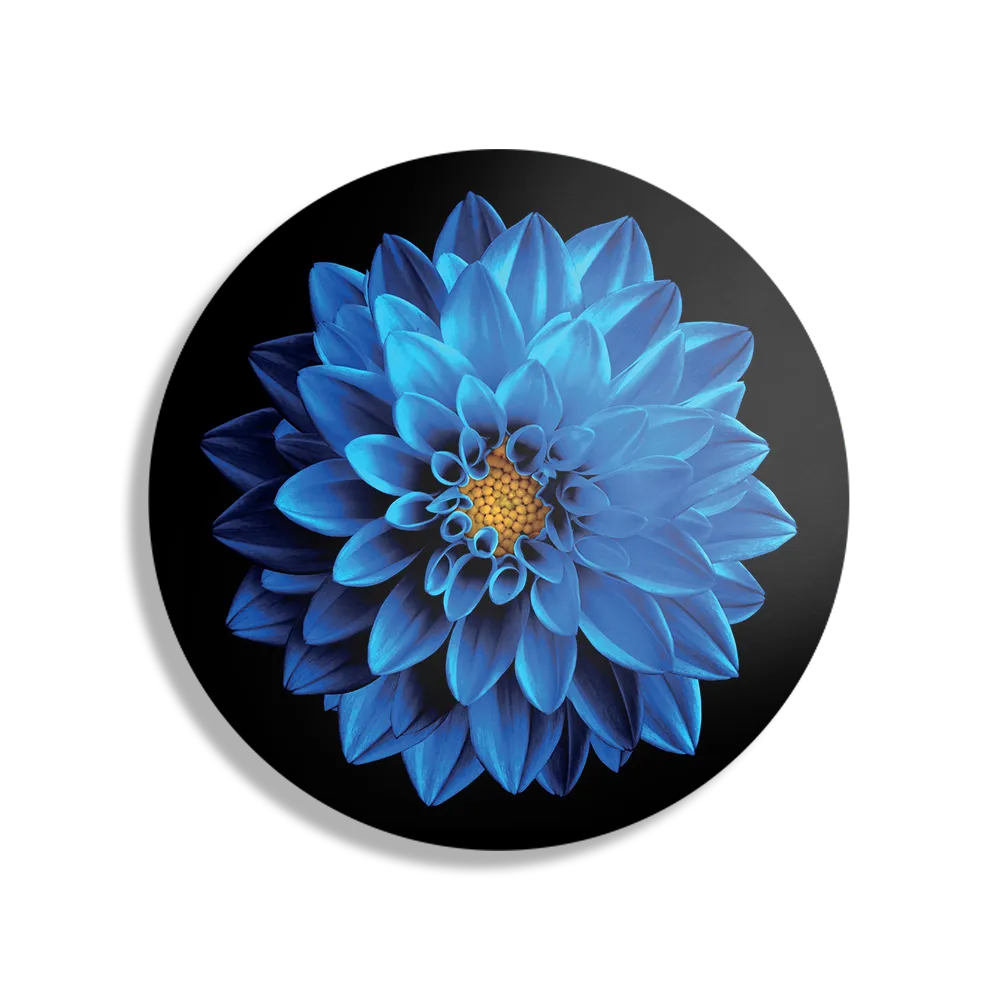 Template_TP_DB_Rond_Natuur_54-1 Schilderij Blauwe Dahlia Rond – Muurcirkel Template TP DB Rond Natuur 54 1