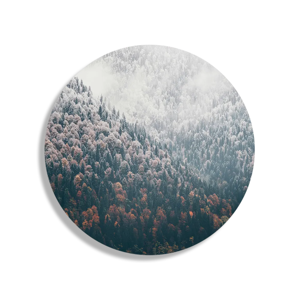Schilderij Van herfst naar winter Rond – Muurcirkel Template TP DB Rond Natuur 59 1