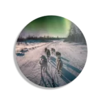 Schilderij Huskies door Lapland Rond – Muurcirkel Template TP DB Rond Natuur 66 1
