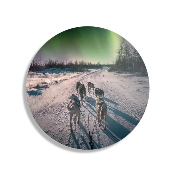 Schilderij Huskies door Lapland Rond – Muurcirkel Template TP DB Rond Natuur 66 1