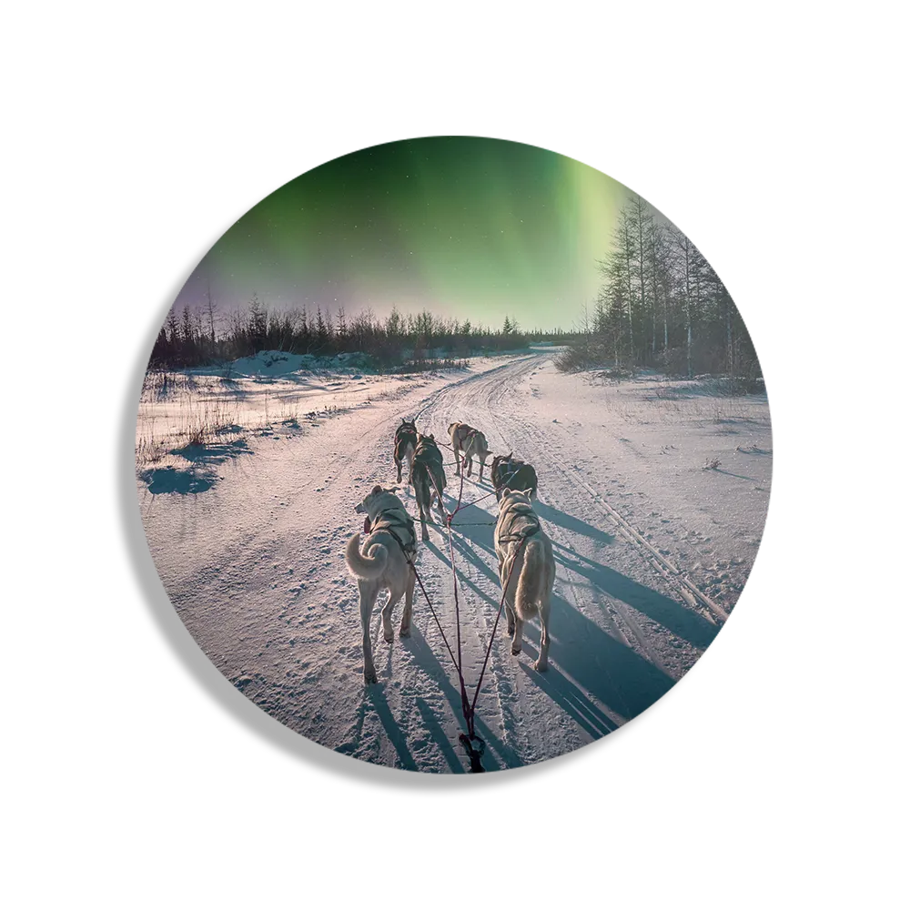 Schilderij Huskies door Lapland Rond – Muurcirkel Template TP DB Rond Natuur 66 1