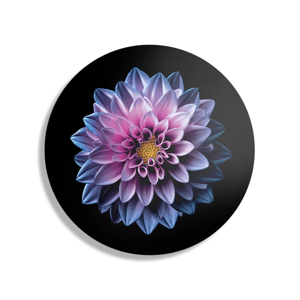 Template_TP_DB_Rond_Natuur_67-1 Schilderij Paarse Dahlia Rond – Muurcirkel Template TP DB Rond Natuur 67 1