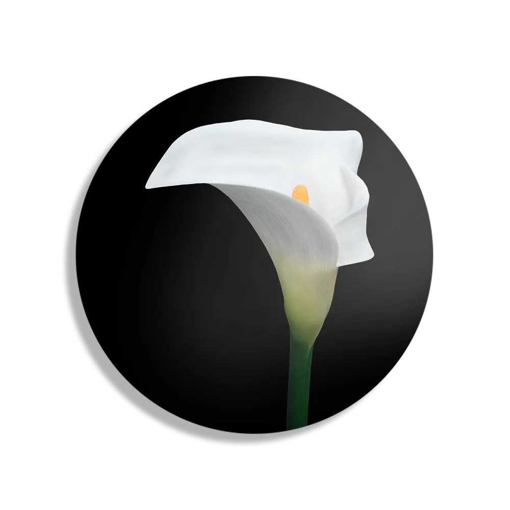 Schilderij Aaronskelk Rond – Muurcirkel Template TP DB Rond Natuur 73 1
