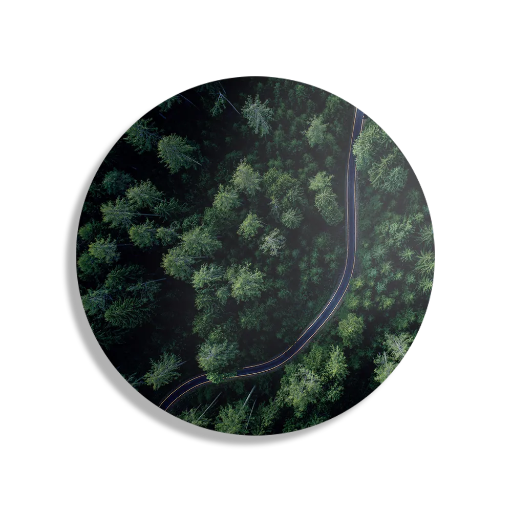 Schilderij Weg door het bos Rond – Muurcirkel Template TP DB Rond Natuur 74 1