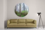 Schilderij Sequoia bos Rond – Muurcirkel Template TP DB Rond Natuur 88 2