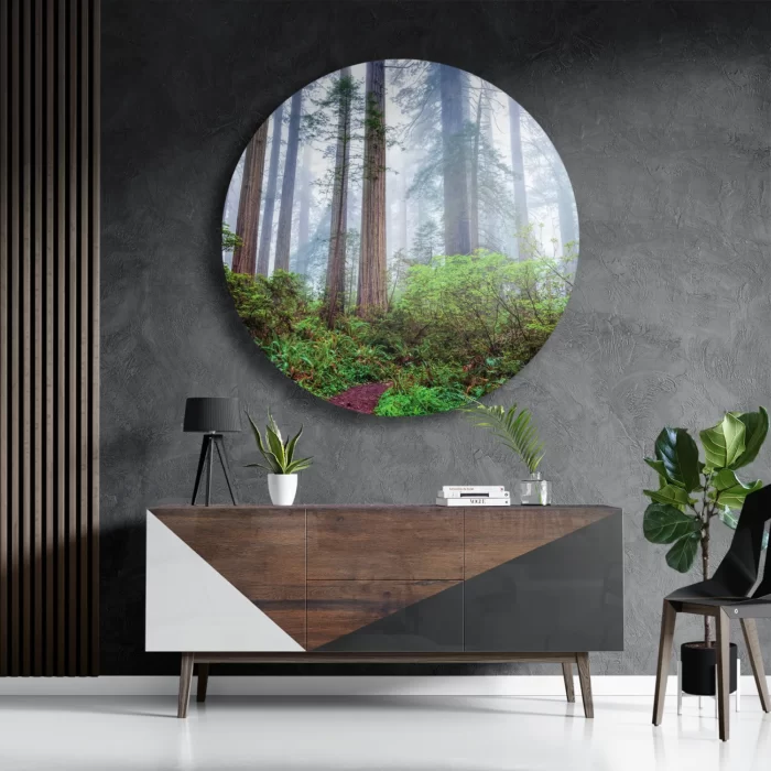 Schilderij Sequoia bos Rond – Muurcirkel Template TP DB Rond Natuur 88 3