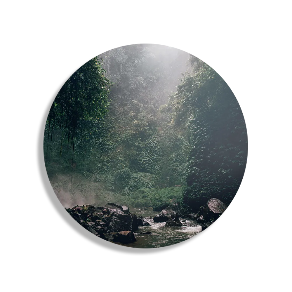 Template_TP_DB_Rond_Natuur_9-1 Schilderij Het natuurgeweld Rond – Muurcirkel Template TP DB Rond Natuur 9 1