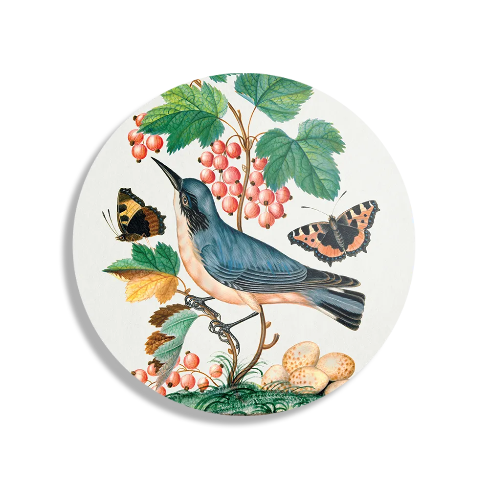 Schilderij Prent Natuur Vogel en Bloemen 10 Rond – Muurcirkel Template TP DB Rond Vintage 10 1