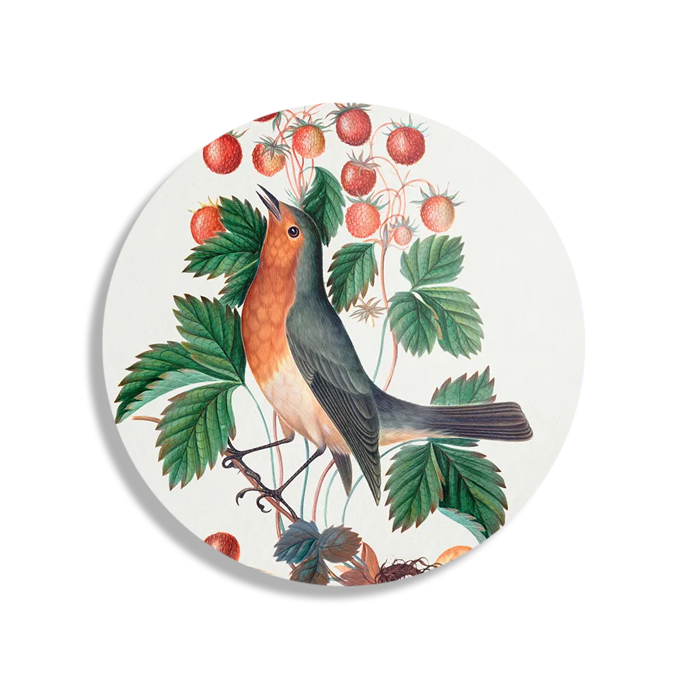Schilderij Prent Natuur Vogel en Bloemen 11 Rond – Muurcirkel Template TP DB Rond Vintage 11 1