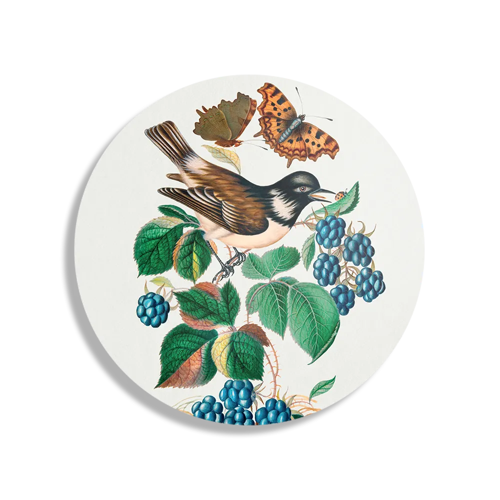 Schilderij Prent Natuur Vogel en Bloemen 14 Rond – Muurcirkel Template TP DB Rond Vintage 14 1