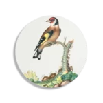 Schilderij Prent Natuur Vogel en Bloemen 15 Rond – Muurcirkel Template TP DB Rond Vintage 15 1