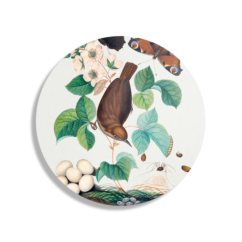 Schilderij Prent Natuur Vogel en Bloemen 03 Rond – Muurcirkel Template TP DB Rond Vintage 3 1