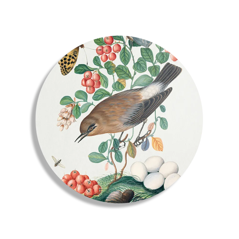 Schilderij Prent Natuur Vogel en Bloemen 05 Rond – Muurcirkel Template TP DB Rond Vintage 5 1