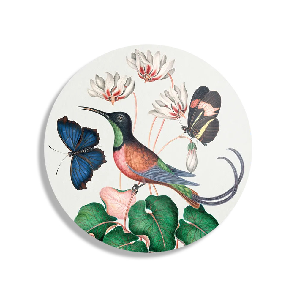 Schilderij Prent Natuur Vogel en Bloemen 07 Rond – Muurcirkel Template TP DB Rond Vintage 7 1