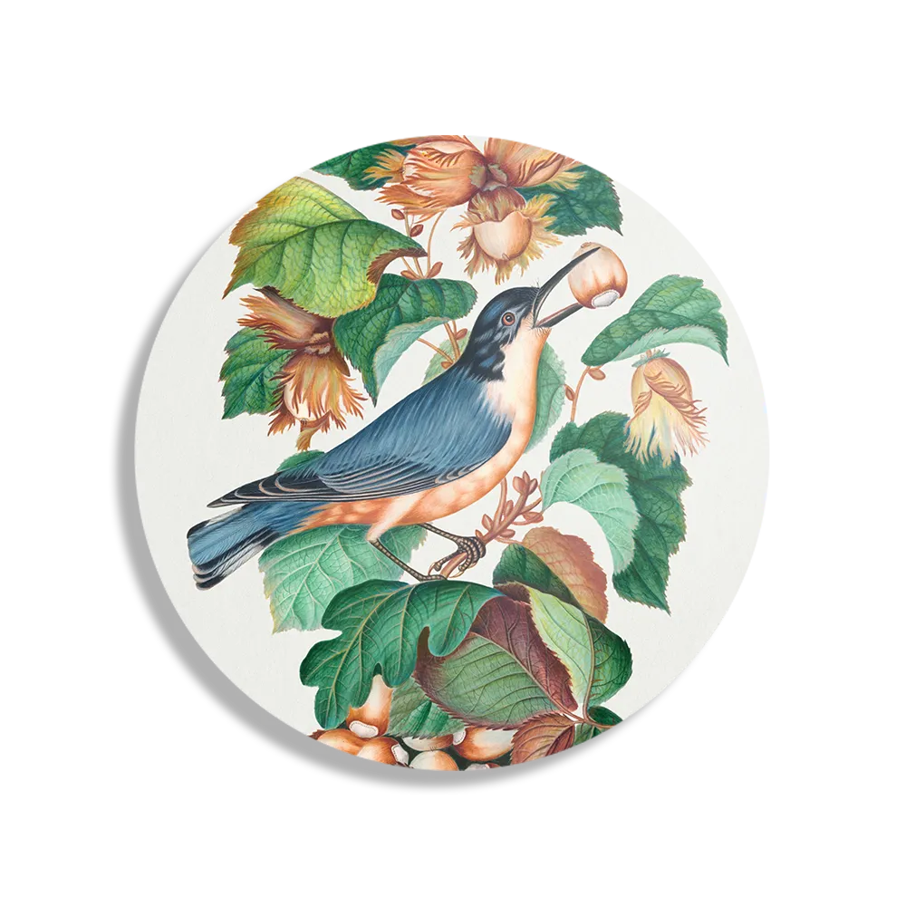 Schilderij Prent Natuur Vogel en Bloemen 09 Rond – Muurcirkel Template TP DB Rond Vintage 9 1