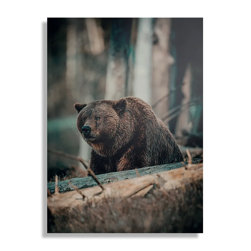 Schilderij Beer In Het Bos Rechthoek Verticaal Template DB 50 70 Verticaal Dieren 11 1