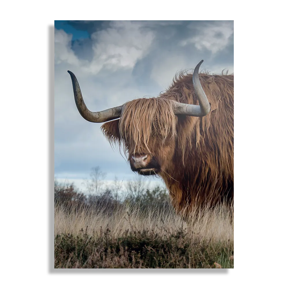 Schilderij Bizon Rechthoek Verticaal Template DB 50 70 Verticaal Dieren 18 1