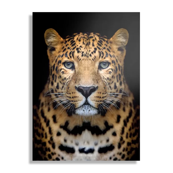 Schilderij De Jaguar Rechthoek Verticaal Template DB 50 70 Verticaal Dieren 29 1