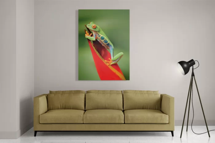 Schilderij Roodoog Boomkikker Rechthoek Verticaal Template DB 50 70 Verticaal Dieren 35 2