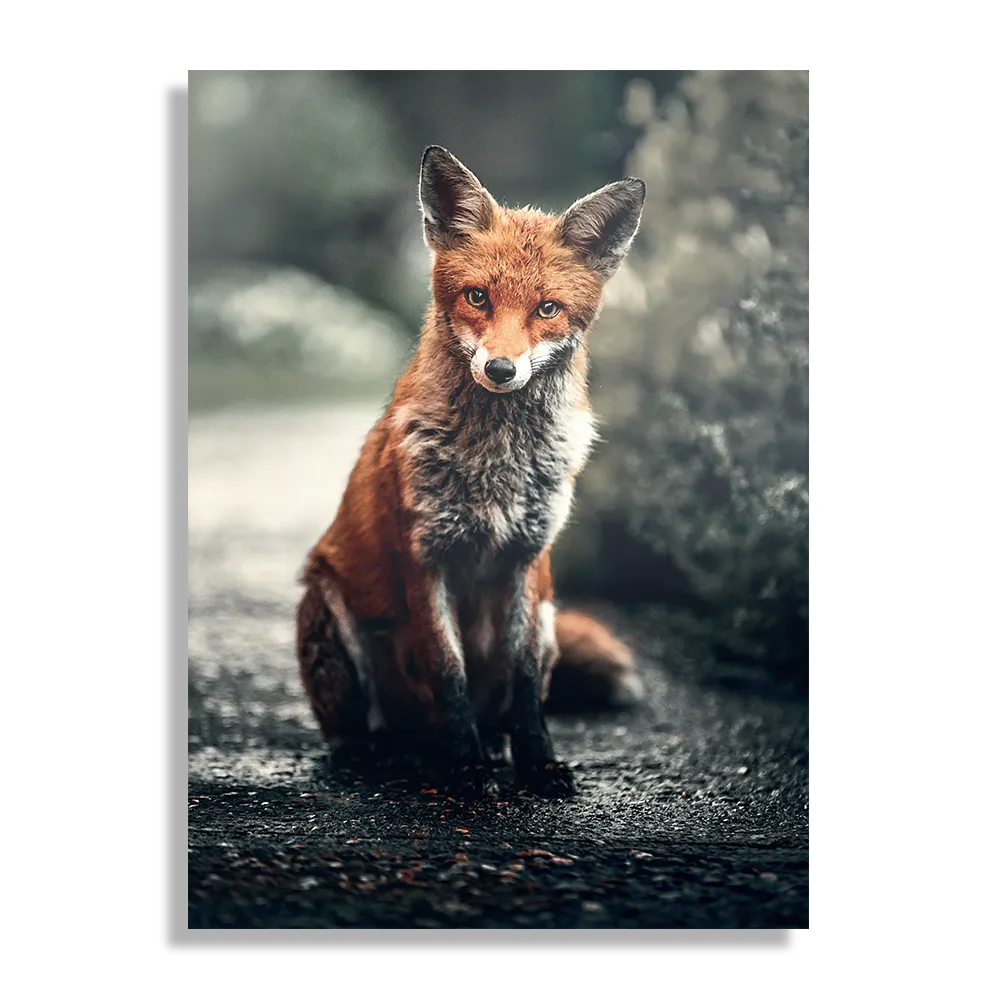 Schilderij Vosje In De Natuur Rechthoek Verticaal Template DB 50 70 Verticaal Dieren 4 1