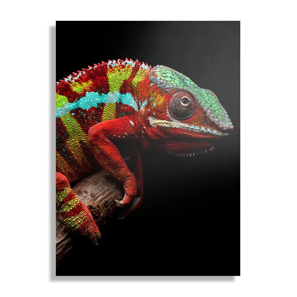 Template_DB_50-70_Verticaal_Dieren_46-1 Schilderij De Kameleon Rechthoek Verticaal Template DB 50 70 Verticaal Dieren 46 1