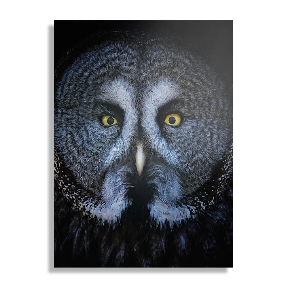 Schilderij Uil Hoofd Close Up Rechthoek Verticaal Template DB 50 70 Verticaal Dieren 49 1